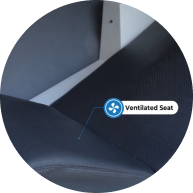 Ventilated Seats